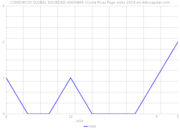 CONSORCIO GLOBAL SOCIEDAD ANONIMA (Costa Rica) Page visits 2024 