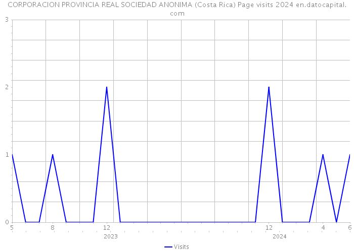 CORPORACION PROVINCIA REAL SOCIEDAD ANONIMA (Costa Rica) Page visits 2024 