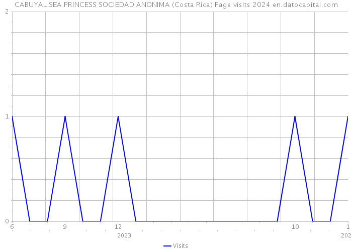CABUYAL SEA PRINCESS SOCIEDAD ANONIMA (Costa Rica) Page visits 2024 