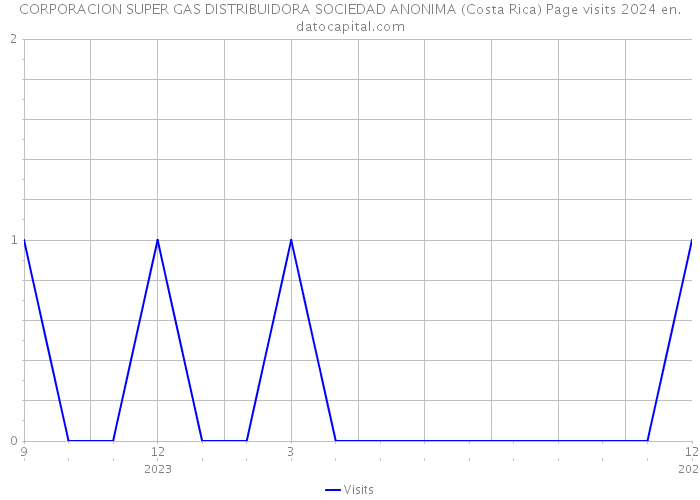 CORPORACION SUPER GAS DISTRIBUIDORA SOCIEDAD ANONIMA (Costa Rica) Page visits 2024 
