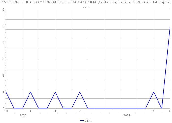 INVERSIONES HIDALGO Y CORRALES SOCIEDAD ANONIMA (Costa Rica) Page visits 2024 