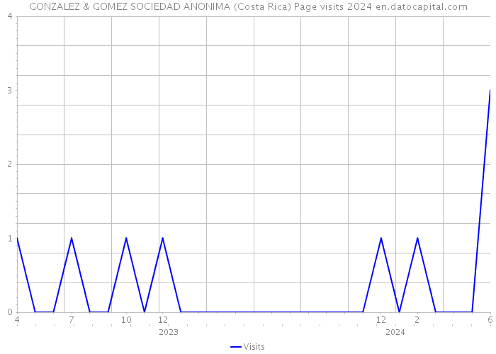 GONZALEZ & GOMEZ SOCIEDAD ANONIMA (Costa Rica) Page visits 2024 
