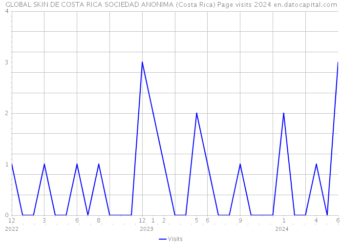 GLOBAL SKIN DE COSTA RICA SOCIEDAD ANONIMA (Costa Rica) Page visits 2024 