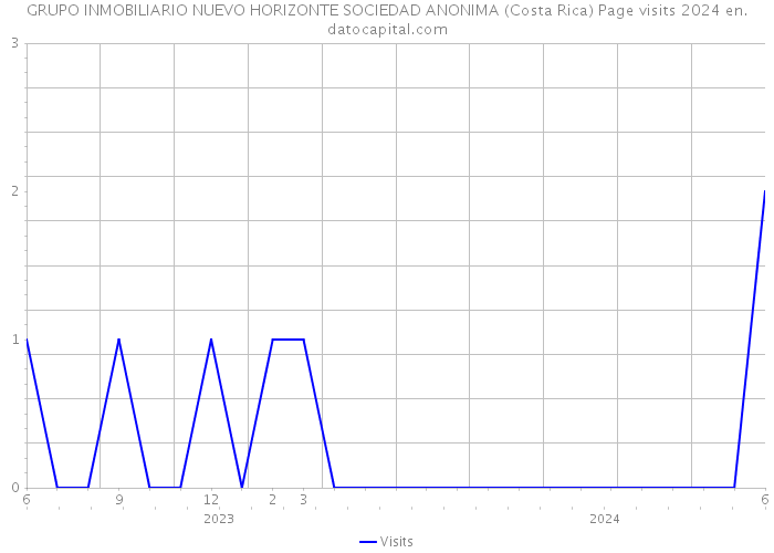 GRUPO INMOBILIARIO NUEVO HORIZONTE SOCIEDAD ANONIMA (Costa Rica) Page visits 2024 