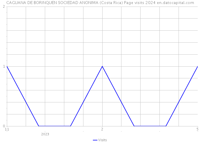 CAGUANA DE BORINQUEN SOCIEDAD ANONIMA (Costa Rica) Page visits 2024 