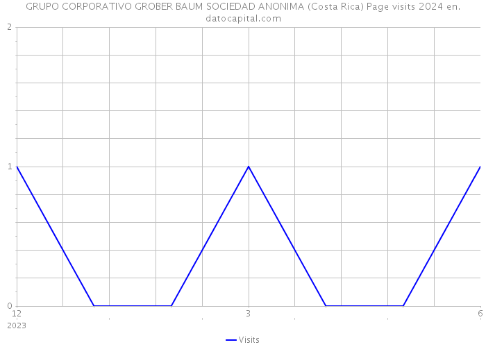 GRUPO CORPORATIVO GROBER BAUM SOCIEDAD ANONIMA (Costa Rica) Page visits 2024 