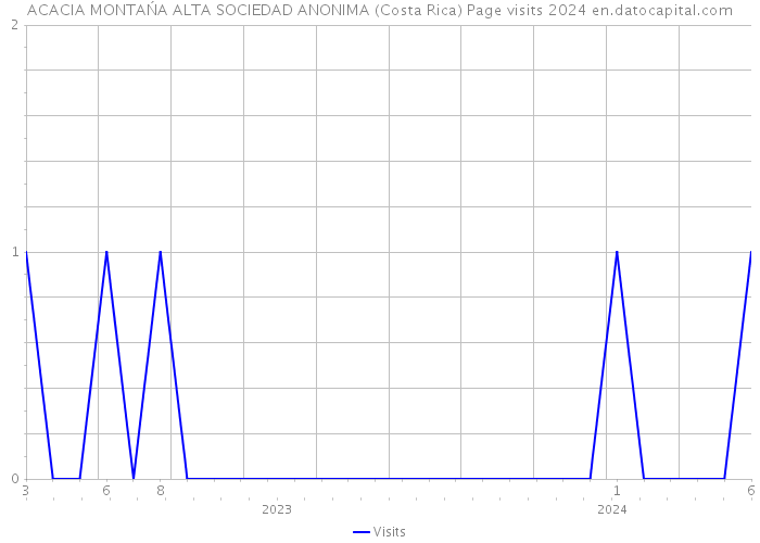 ACACIA MONTAŃA ALTA SOCIEDAD ANONIMA (Costa Rica) Page visits 2024 
