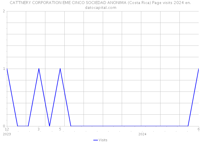 CATTNERY CORPORATION EME CINCO SOCIEDAD ANONIMA (Costa Rica) Page visits 2024 