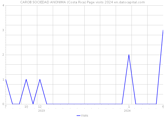 CAROB SOCIEDAD ANONIMA (Costa Rica) Page visits 2024 