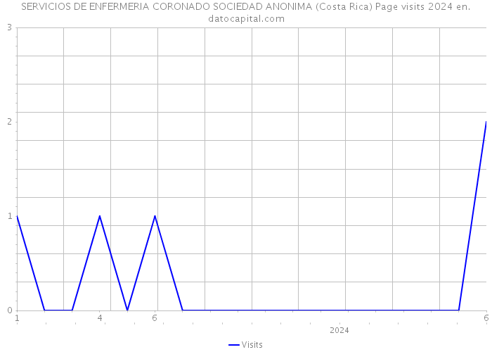 SERVICIOS DE ENFERMERIA CORONADO SOCIEDAD ANONIMA (Costa Rica) Page visits 2024 