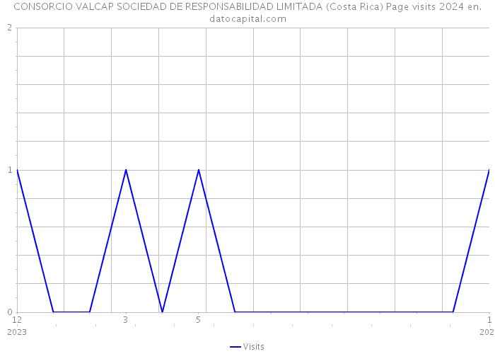 CONSORCIO VALCAP SOCIEDAD DE RESPONSABILIDAD LIMITADA (Costa Rica) Page visits 2024 