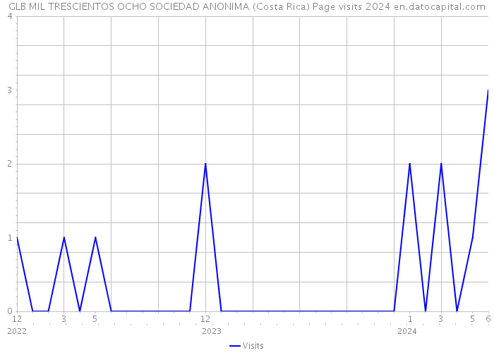 GLB MIL TRESCIENTOS OCHO SOCIEDAD ANONIMA (Costa Rica) Page visits 2024 