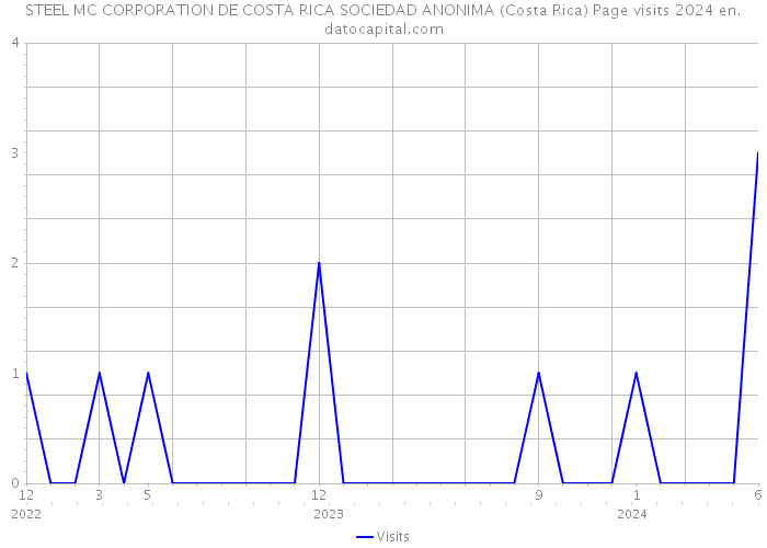 STEEL MC CORPORATION DE COSTA RICA SOCIEDAD ANONIMA (Costa Rica) Page visits 2024 