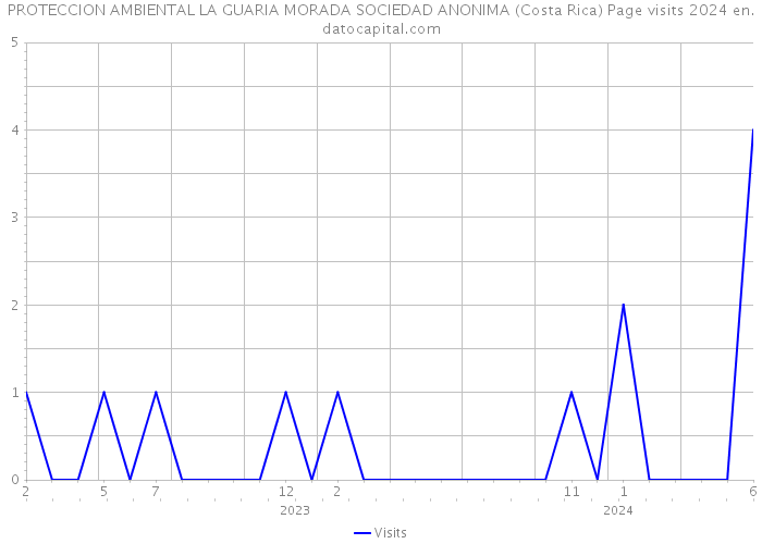 PROTECCION AMBIENTAL LA GUARIA MORADA SOCIEDAD ANONIMA (Costa Rica) Page visits 2024 