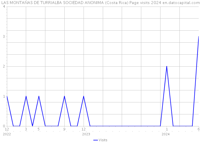 LAS MONTAŃAS DE TURRIALBA SOCIEDAD ANONIMA (Costa Rica) Page visits 2024 