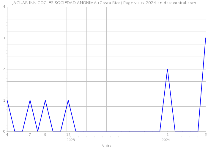 JAGUAR INN COCLES SOCIEDAD ANONIMA (Costa Rica) Page visits 2024 