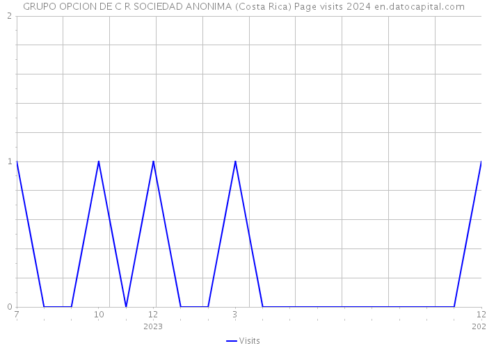 GRUPO OPCION DE C R SOCIEDAD ANONIMA (Costa Rica) Page visits 2024 