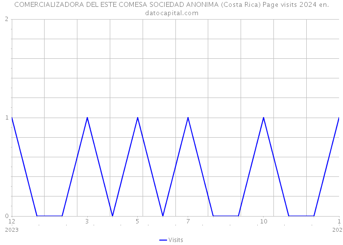 COMERCIALIZADORA DEL ESTE COMESA SOCIEDAD ANONIMA (Costa Rica) Page visits 2024 