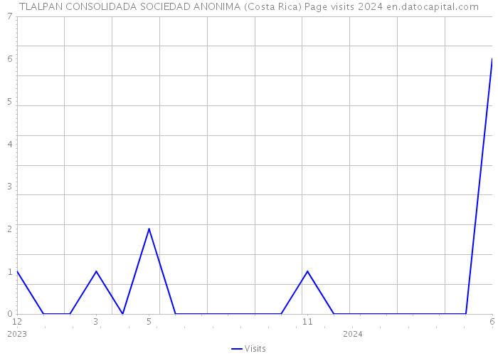 TLALPAN CONSOLIDADA SOCIEDAD ANONIMA (Costa Rica) Page visits 2024 