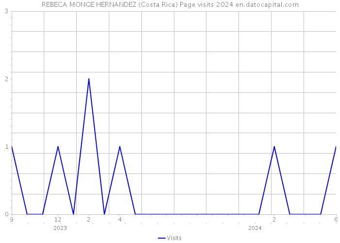 REBECA MONGE HERNANDEZ (Costa Rica) Page visits 2024 