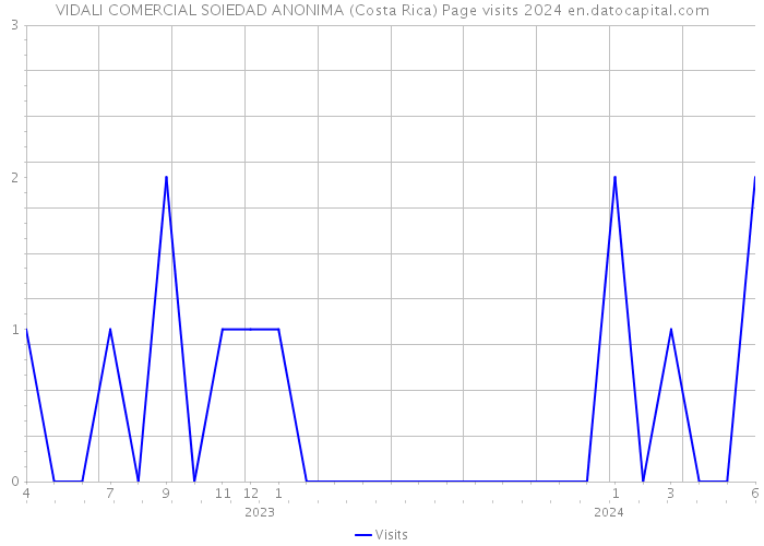VIDALI COMERCIAL SOIEDAD ANONIMA (Costa Rica) Page visits 2024 