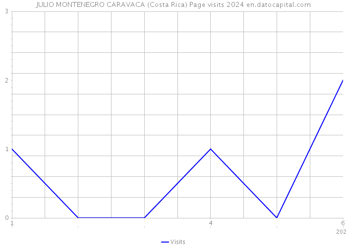 JULIO MONTENEGRO CARAVACA (Costa Rica) Page visits 2024 