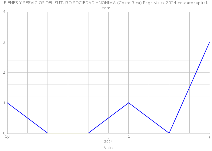 BIENES Y SERVICIOS DEL FUTURO SOCIEDAD ANONIMA (Costa Rica) Page visits 2024 