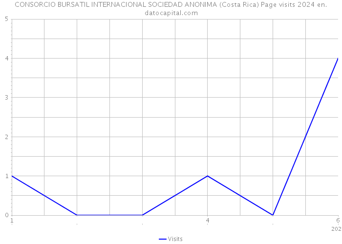 CONSORCIO BURSATIL INTERNACIONAL SOCIEDAD ANONIMA (Costa Rica) Page visits 2024 