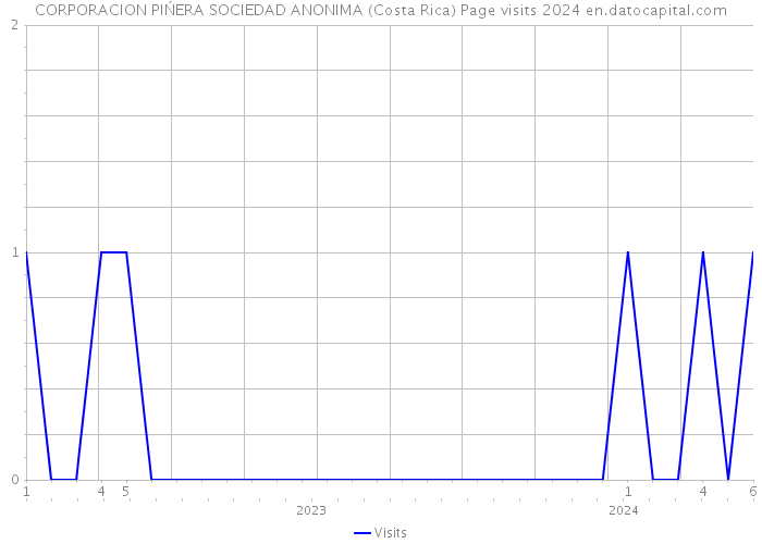 CORPORACION PIŃERA SOCIEDAD ANONIMA (Costa Rica) Page visits 2024 