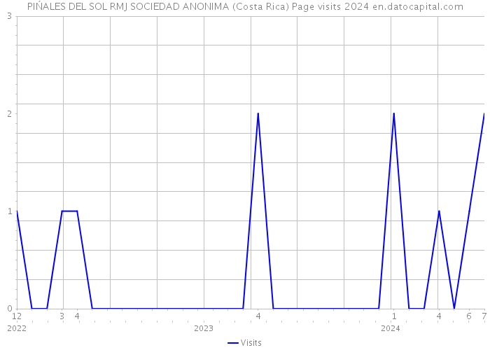 PIŃALES DEL SOL RMJ SOCIEDAD ANONIMA (Costa Rica) Page visits 2024 