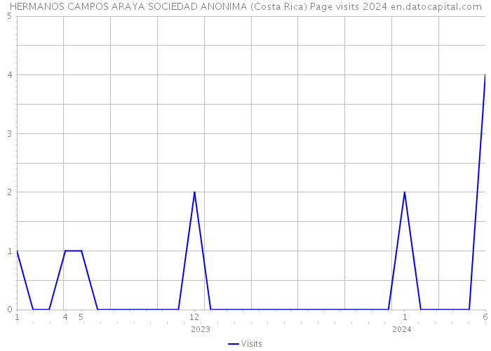 HERMANOS CAMPOS ARAYA SOCIEDAD ANONIMA (Costa Rica) Page visits 2024 