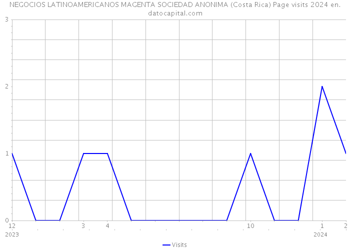 NEGOCIOS LATINOAMERICANOS MAGENTA SOCIEDAD ANONIMA (Costa Rica) Page visits 2024 