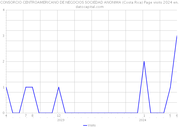 CONSORCIO CENTROAMERICANO DE NEGOCIOS SOCIEDAD ANONIMA (Costa Rica) Page visits 2024 