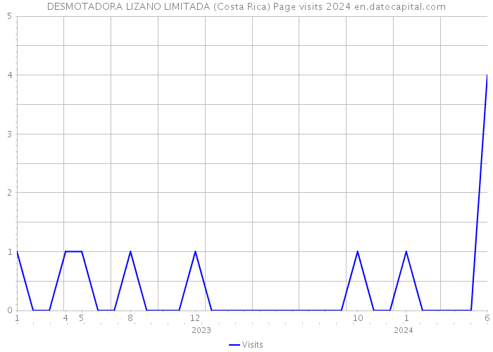 DESMOTADORA LIZANO LIMITADA (Costa Rica) Page visits 2024 
