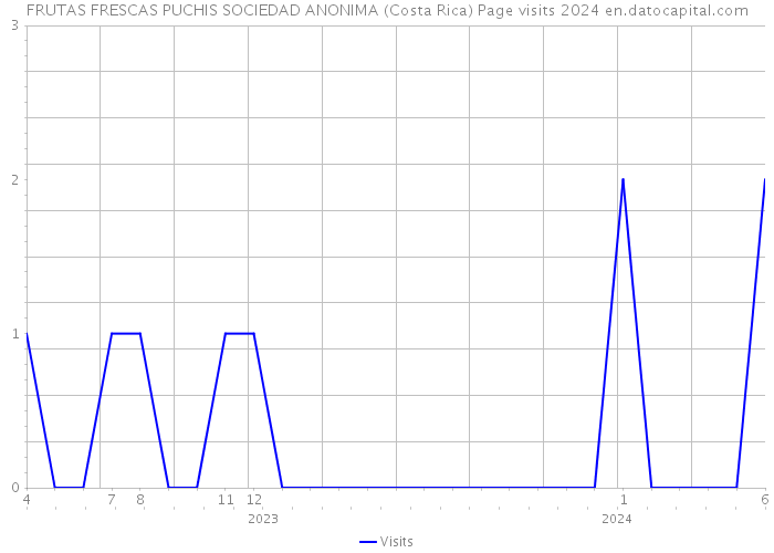 FRUTAS FRESCAS PUCHIS SOCIEDAD ANONIMA (Costa Rica) Page visits 2024 