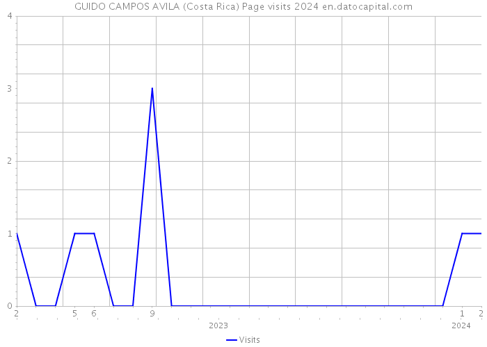 GUIDO CAMPOS AVILA (Costa Rica) Page visits 2024 