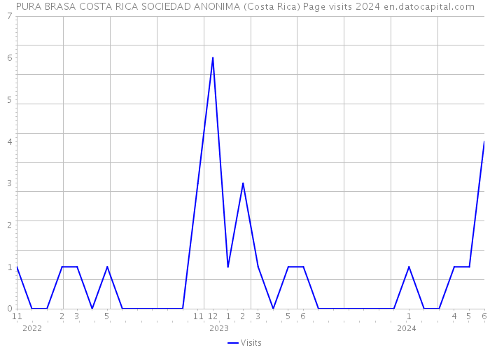 PURA BRASA COSTA RICA SOCIEDAD ANONIMA (Costa Rica) Page visits 2024 