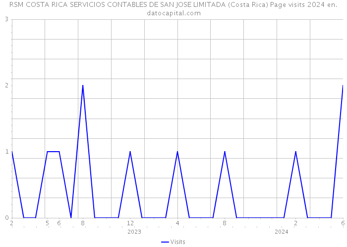 RSM COSTA RICA SERVICIOS CONTABLES DE SAN JOSE LIMITADA (Costa Rica) Page visits 2024 