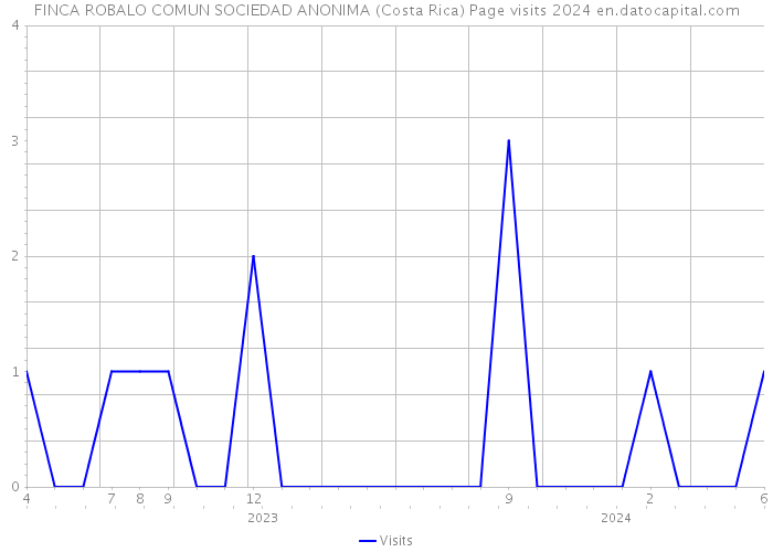 FINCA ROBALO COMUN SOCIEDAD ANONIMA (Costa Rica) Page visits 2024 