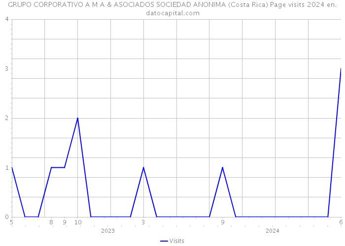 GRUPO CORPORATIVO A M A & ASOCIADOS SOCIEDAD ANONIMA (Costa Rica) Page visits 2024 