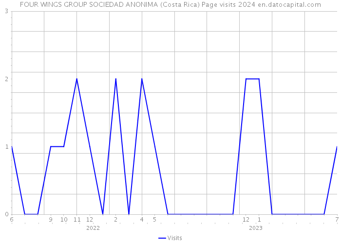 FOUR WINGS GROUP SOCIEDAD ANONIMA (Costa Rica) Page visits 2024 