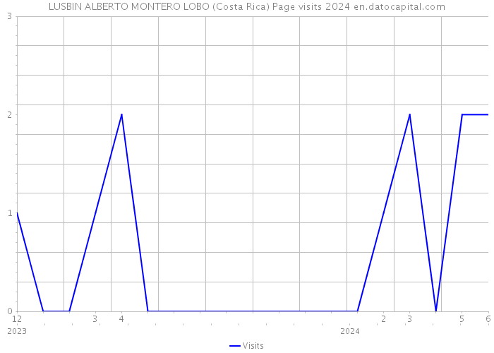 LUSBIN ALBERTO MONTERO LOBO (Costa Rica) Page visits 2024 