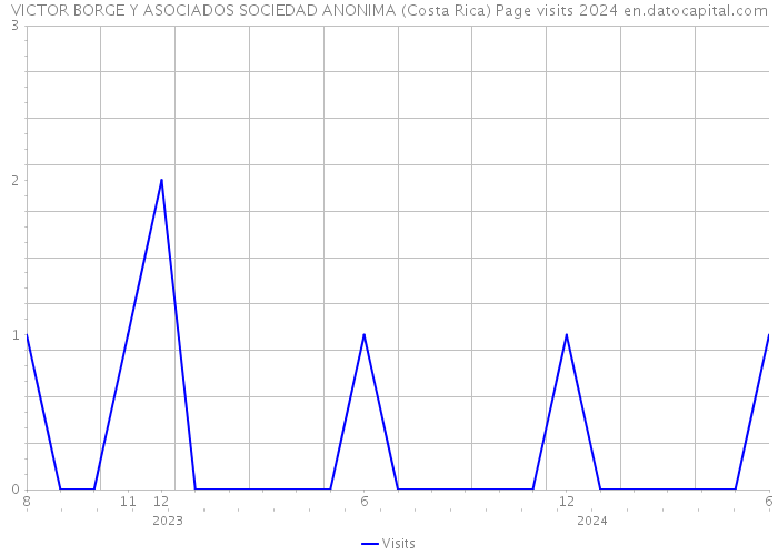 VICTOR BORGE Y ASOCIADOS SOCIEDAD ANONIMA (Costa Rica) Page visits 2024 