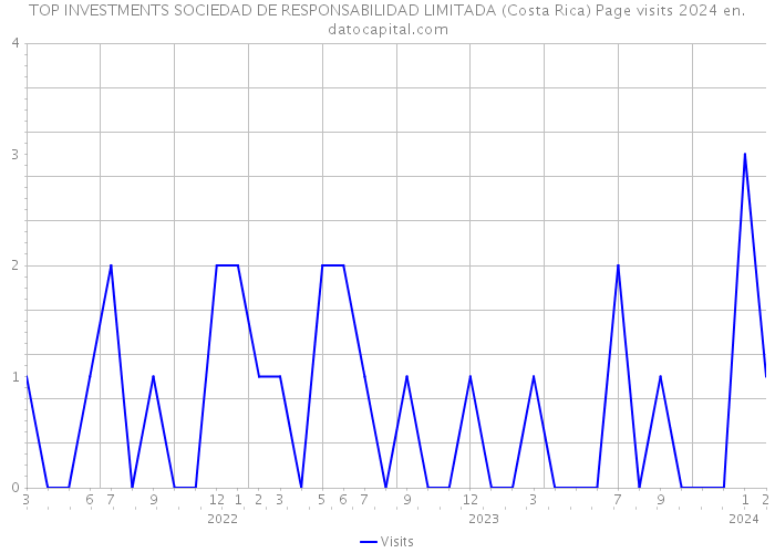 TOP INVESTMENTS SOCIEDAD DE RESPONSABILIDAD LIMITADA (Costa Rica) Page visits 2024 