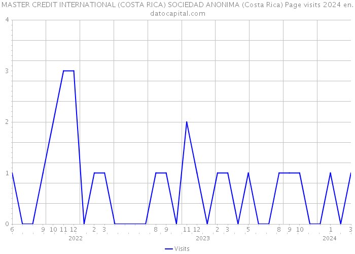MASTER CREDIT INTERNATIONAL (COSTA RICA) SOCIEDAD ANONIMA (Costa Rica) Page visits 2024 