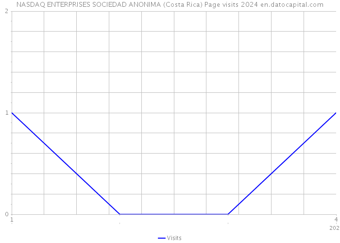 NASDAQ ENTERPRISES SOCIEDAD ANONIMA (Costa Rica) Page visits 2024 