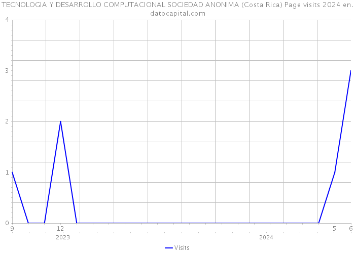 TECNOLOGIA Y DESARROLLO COMPUTACIONAL SOCIEDAD ANONIMA (Costa Rica) Page visits 2024 