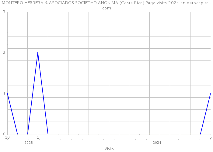 MONTERO HERRERA & ASOCIADOS SOCIEDAD ANONIMA (Costa Rica) Page visits 2024 