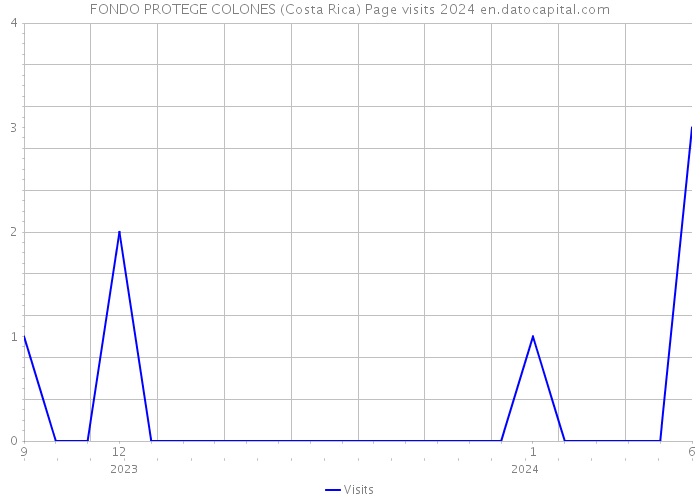 FONDO PROTEGE COLONES (Costa Rica) Page visits 2024 