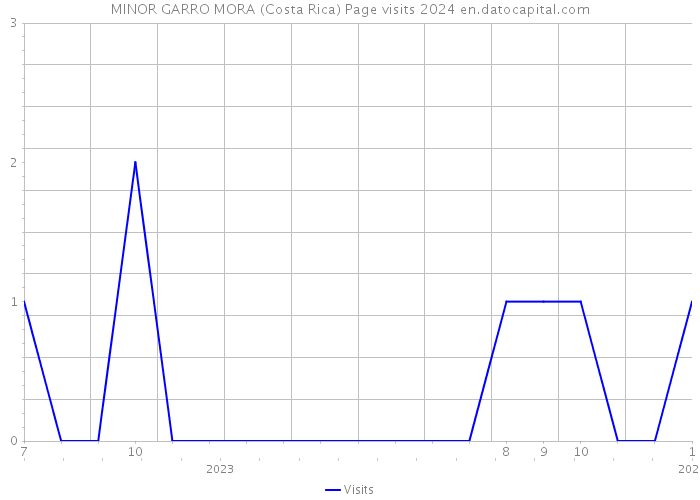 MINOR GARRO MORA (Costa Rica) Page visits 2024 